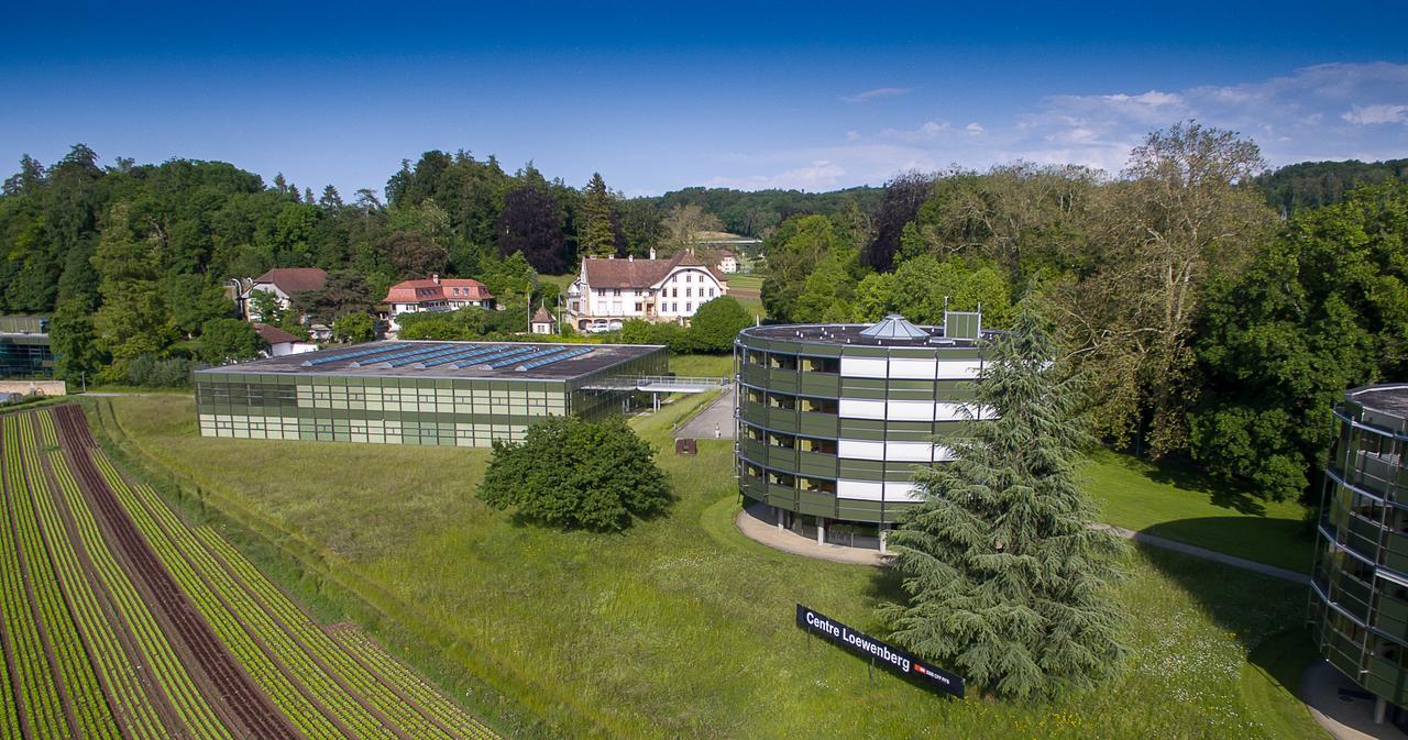 Hotel Centre Loewenberg *